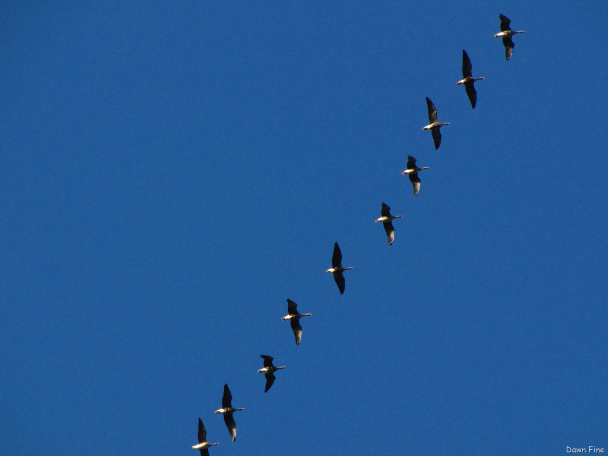 [BwBTC Sac_013[2].jpg]