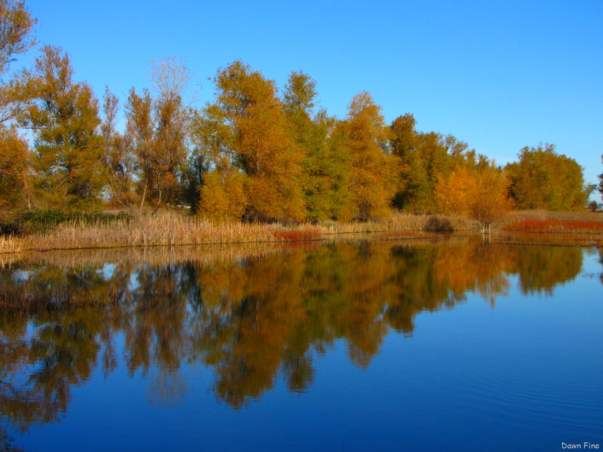 [BwBTC Sac_041[3].jpg]