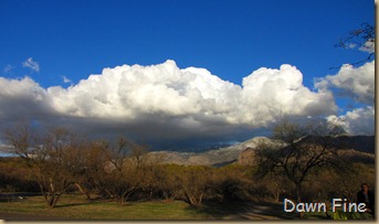 Catalina clouds (8)