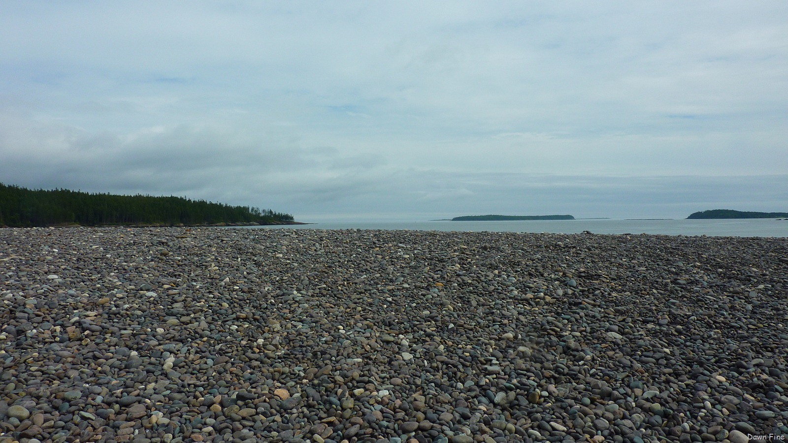 [carridemaine_0113.jpg]