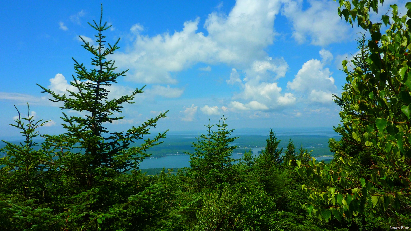 [Sargentmountainhike_0613.jpg]