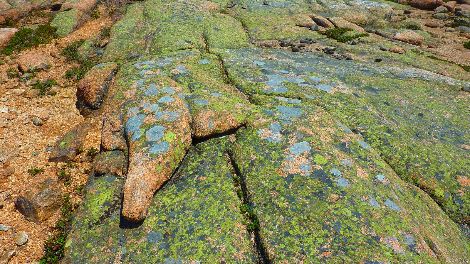 [Sargentmountainhike_1154.jpg]