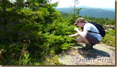 Sargent mountain hike_161 Sargent mountain hike_161