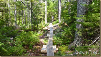 Sargent mountain hike_167 Sargent mountain hike_167