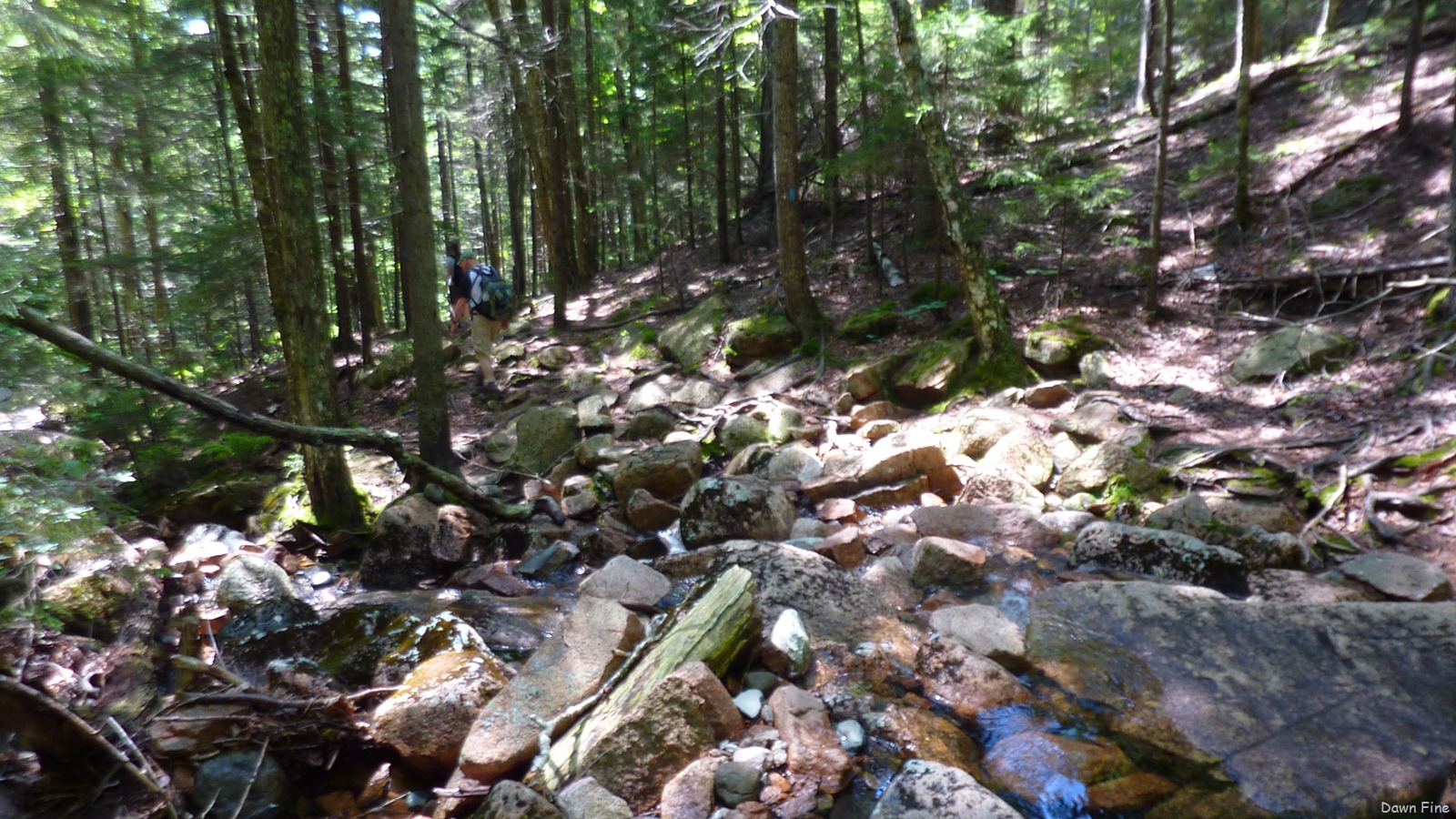 [Sargentmountainhike_1732.jpg]