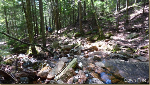 Sargent mountain hike_173 Sargent mountain hike_173