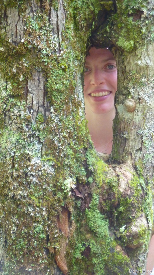 [Sargentmountainhike_1876.jpg]