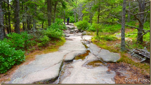 Gorham mt hike_011