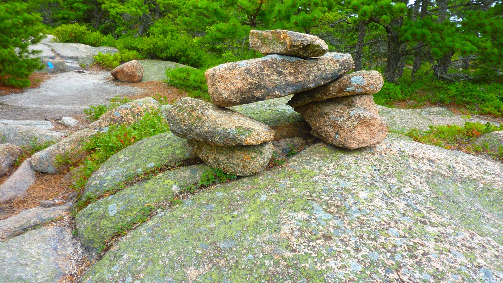 [Gorham mt hike_083[3].jpg]