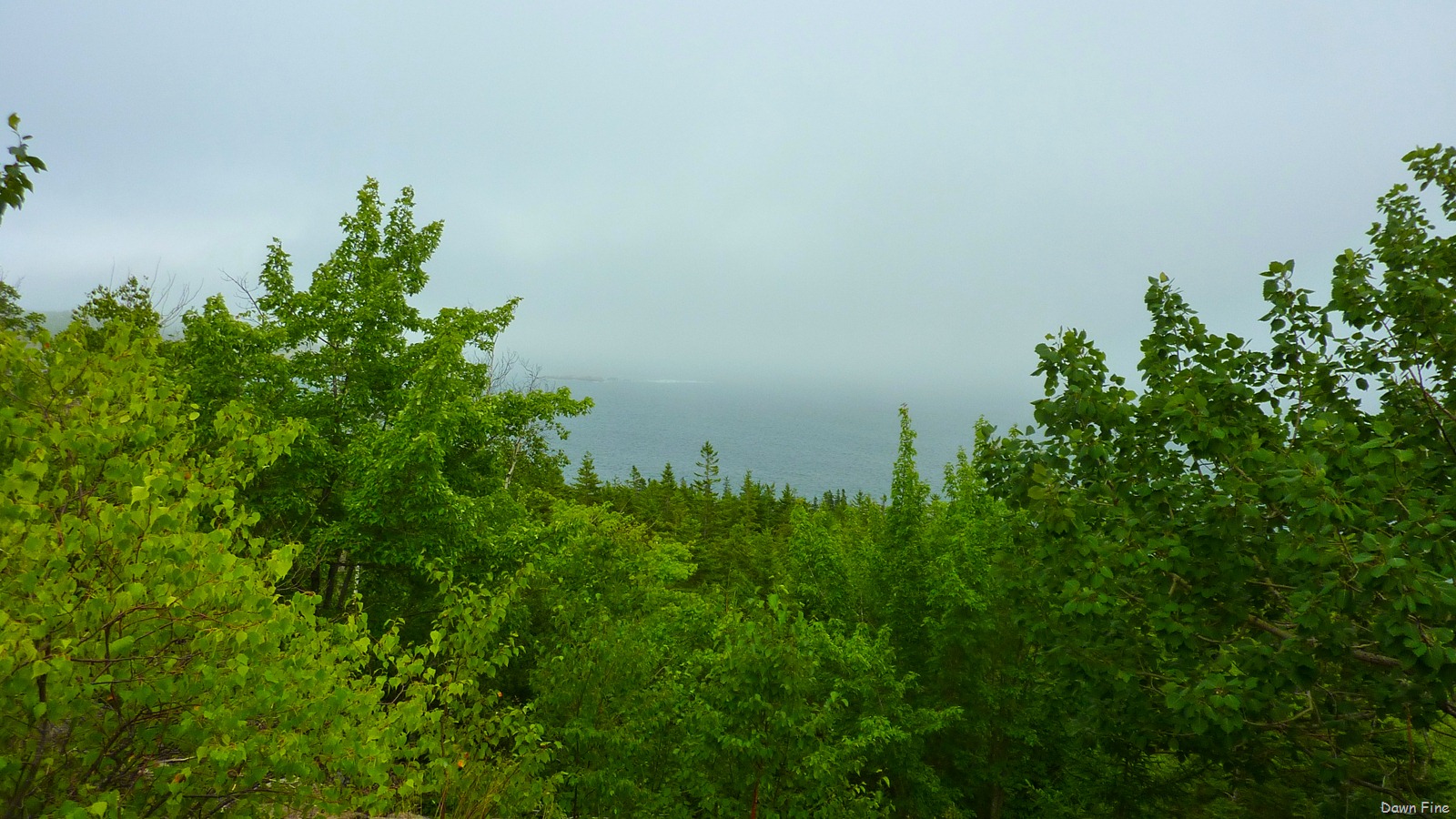[Gorham mt hike_026.jpg]