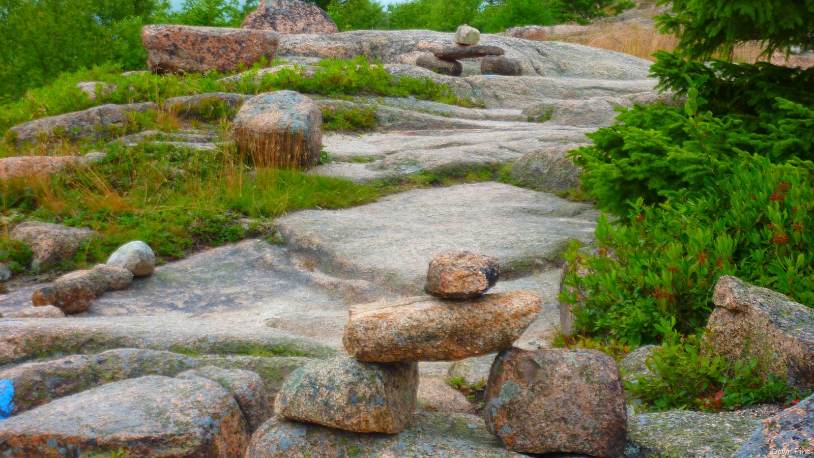[Gorham mt hike_063[1].jpg]