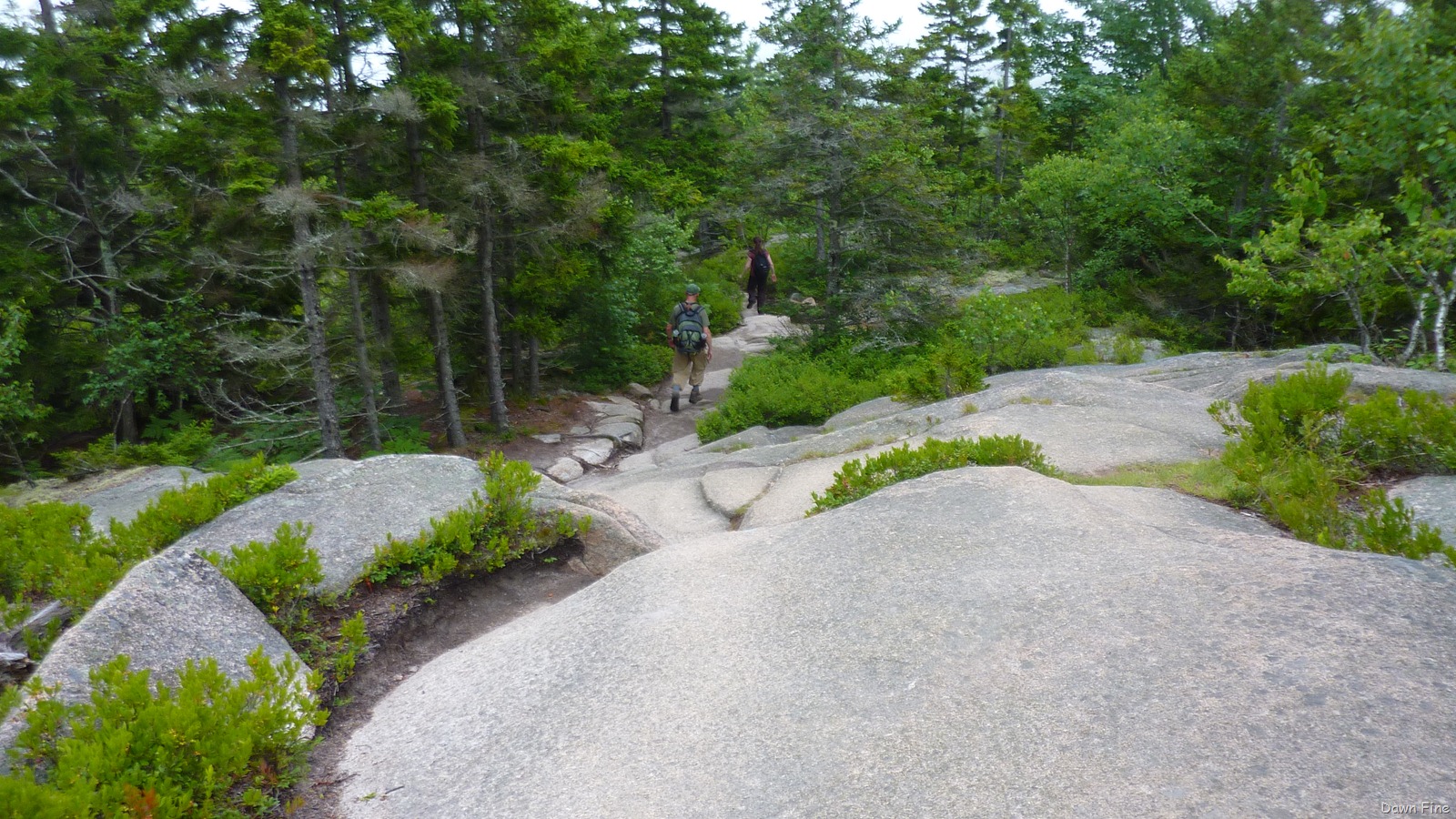[Gorham mt hike_141.jpg]