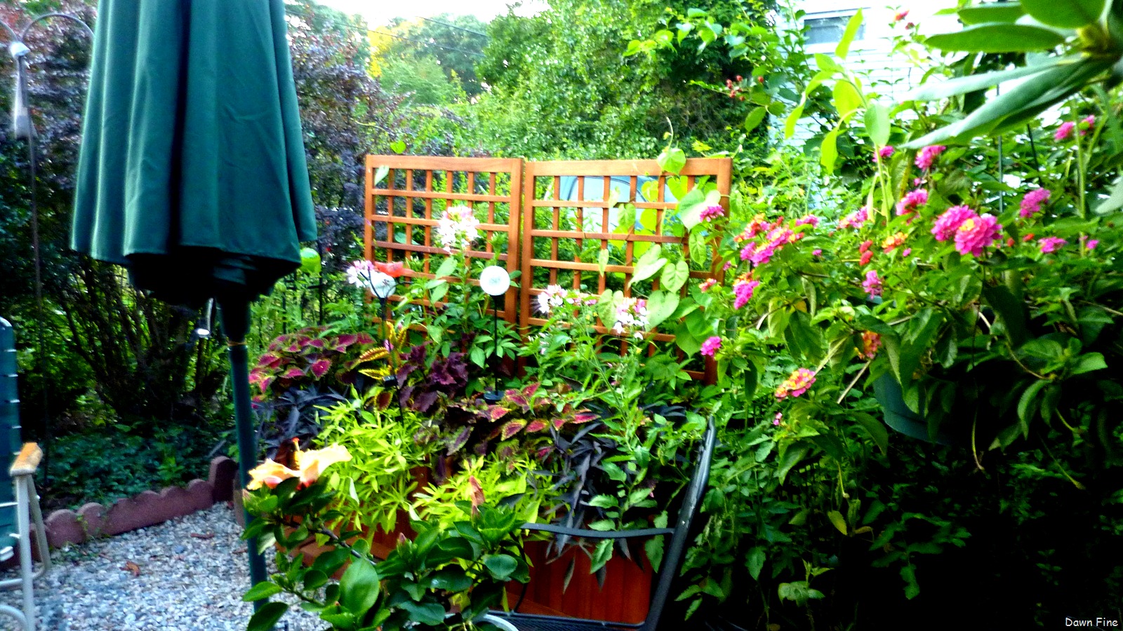 [garden_024[16].jpg]