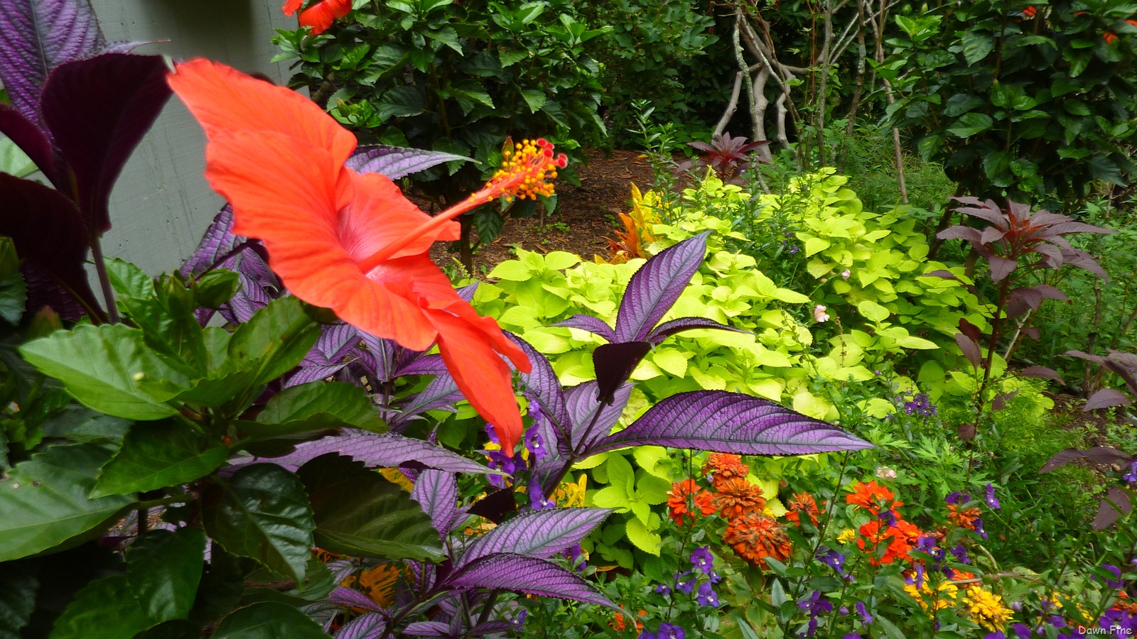 [Heritage gardens_024[3].jpg]