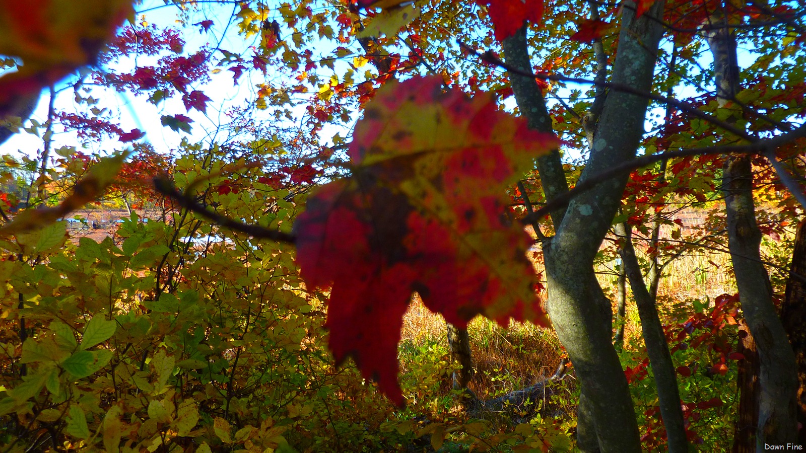 [Autumn_030[5].jpg]
