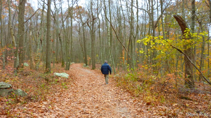 [Bluff point _016[4].jpg]