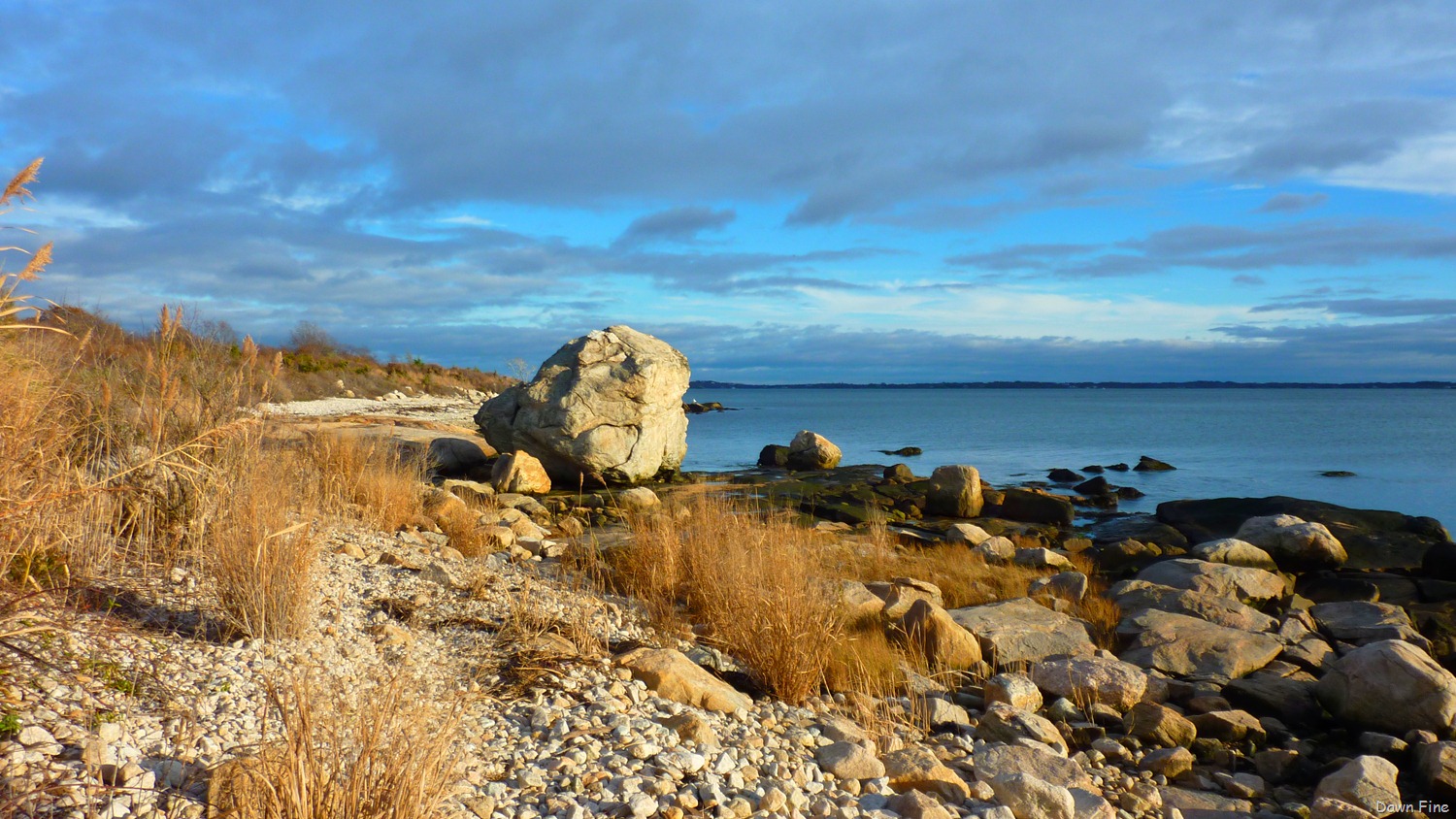 [Bluff point _079.jpg]