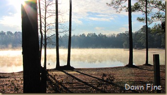 harris neck nwr_015 (1)