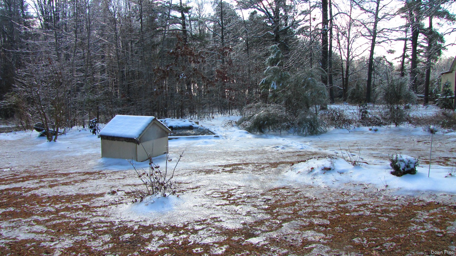 [snow and ice_024[4].jpg]