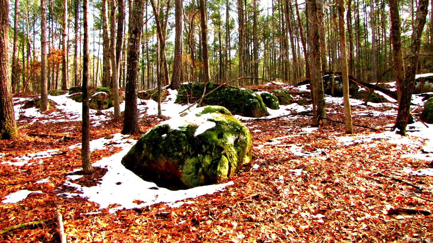 [Pee Dee_042[20].jpg]