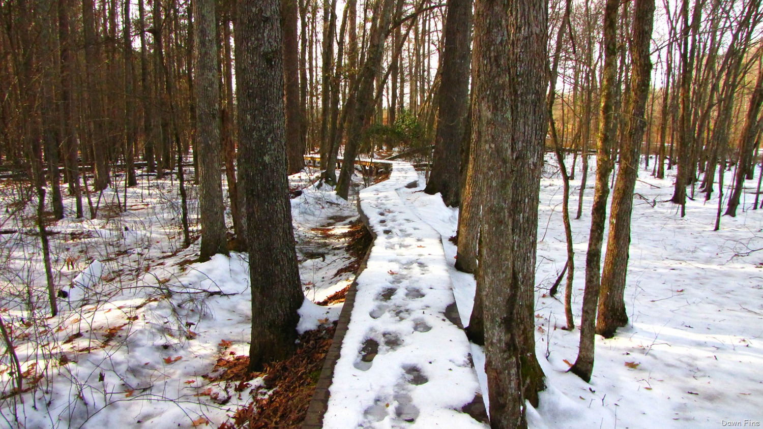 [Pee Dee_013[5].jpg]