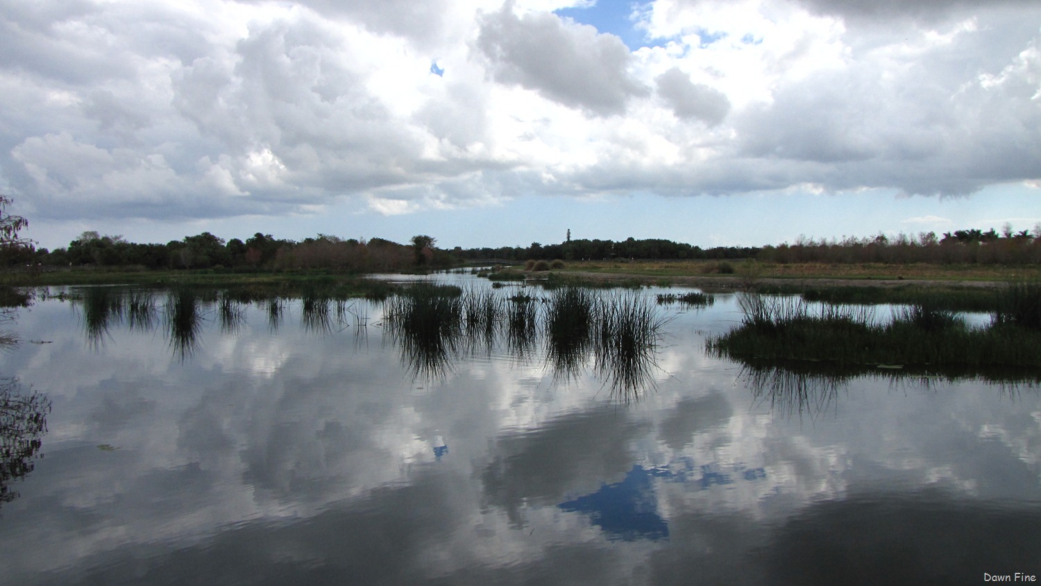 [Green Cay_144[3].jpg]