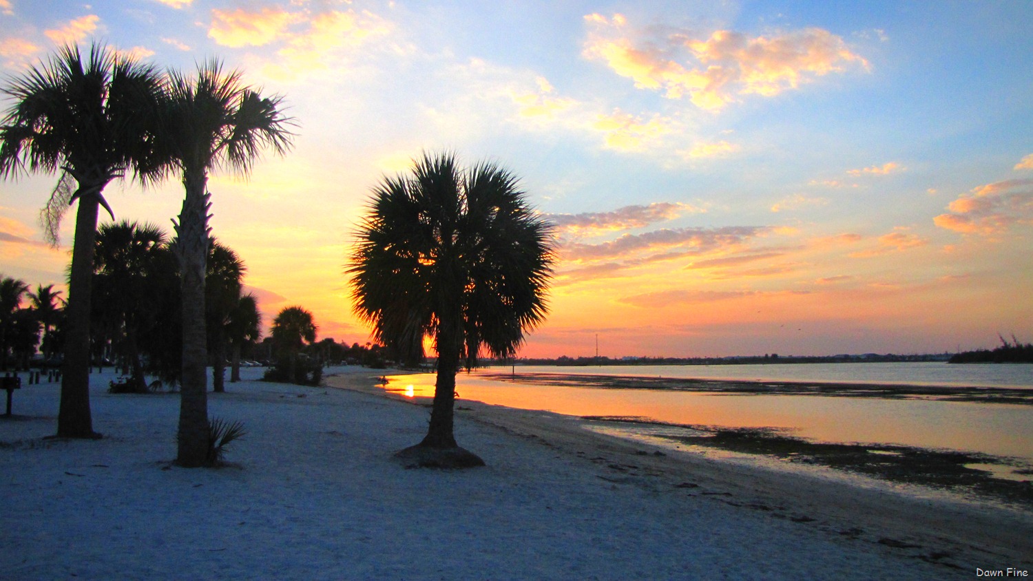 [Hutchinson-Island_203.jpg]