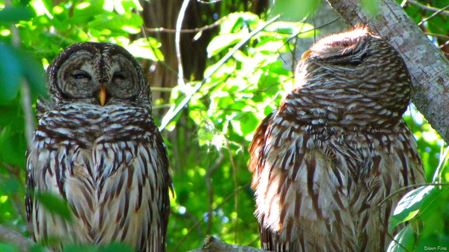 [Emeralda marsh_026[5].jpg]