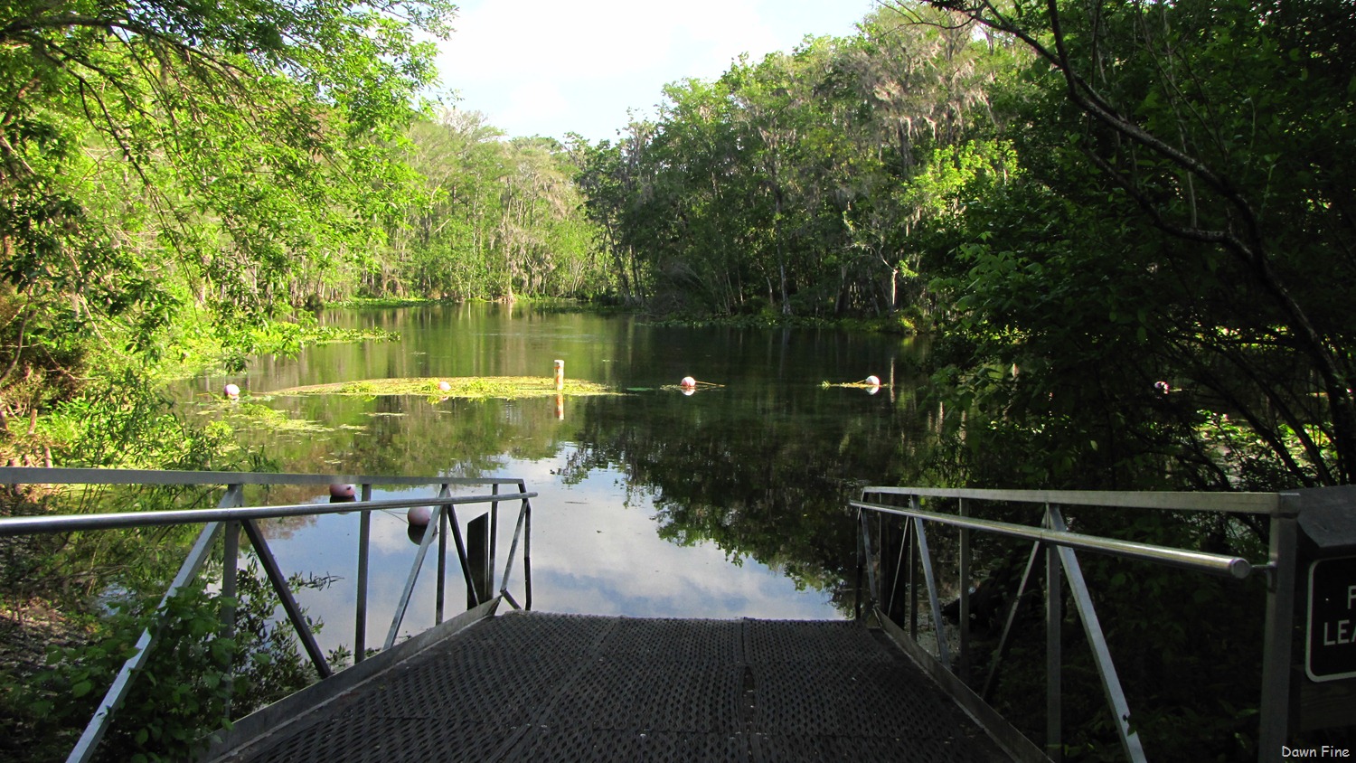 [Silver-Springs-State-Park_009.jpg]