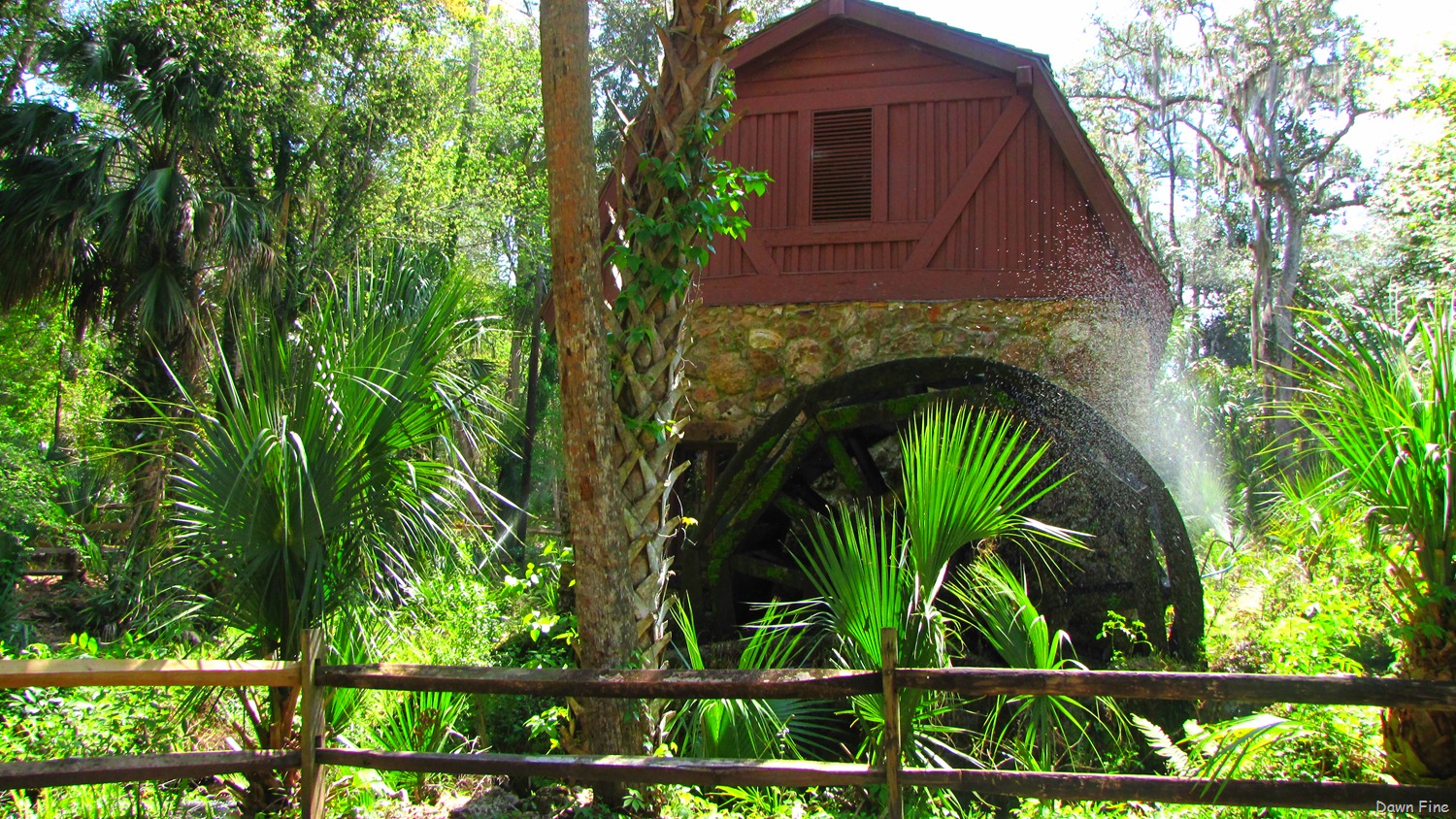 [juniper-and-Alexander-springs_026.jpg]