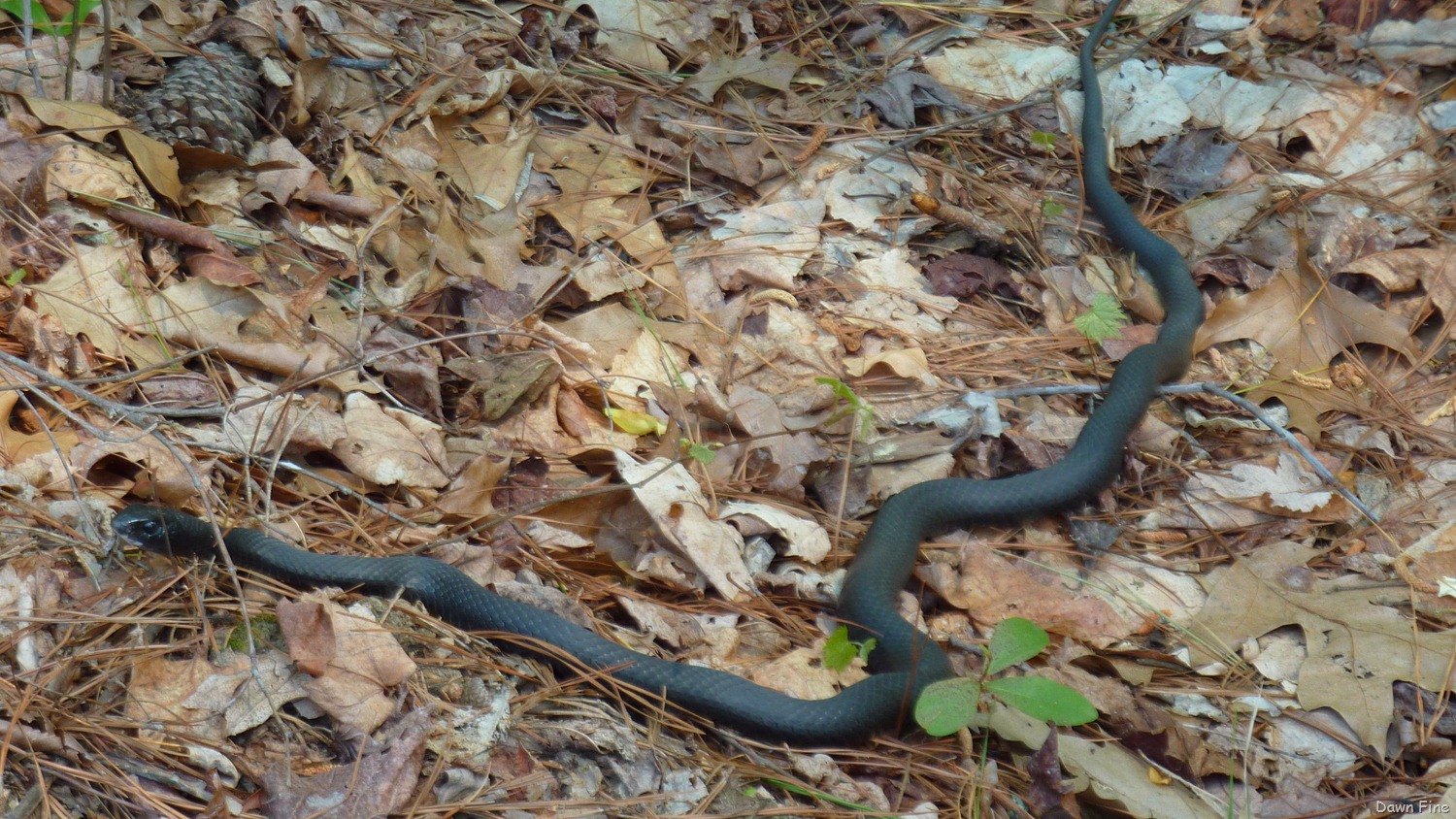 [Around Sickstas_002[3].jpg]