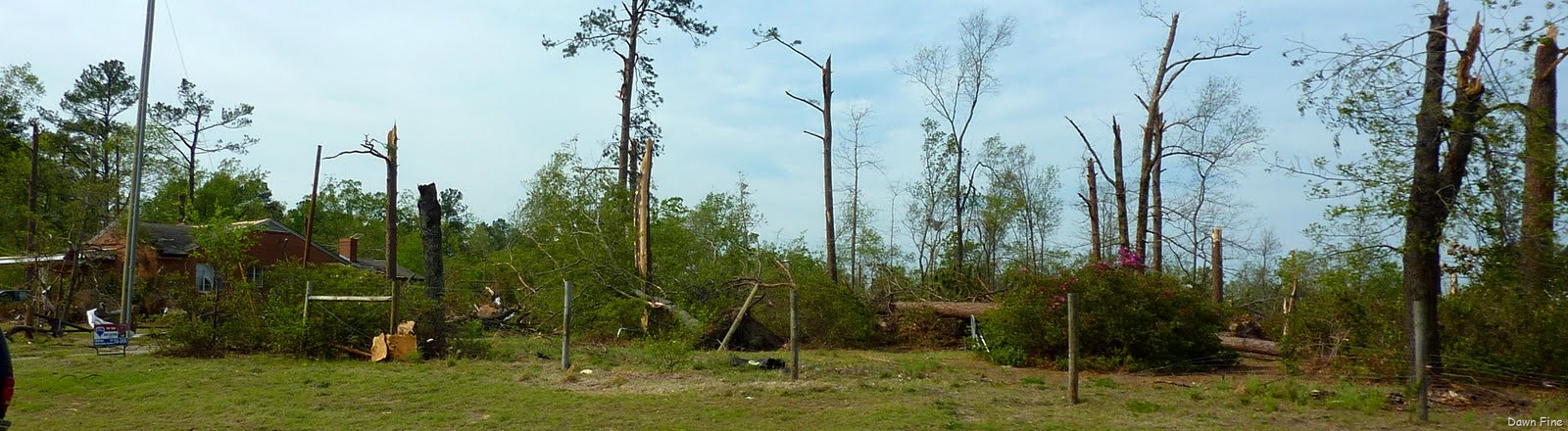 [Tornado Damage Sanford NC_002[2].jpg]