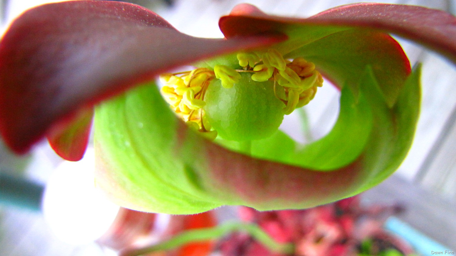 [Around sickstas_015 (2)[4].jpg]