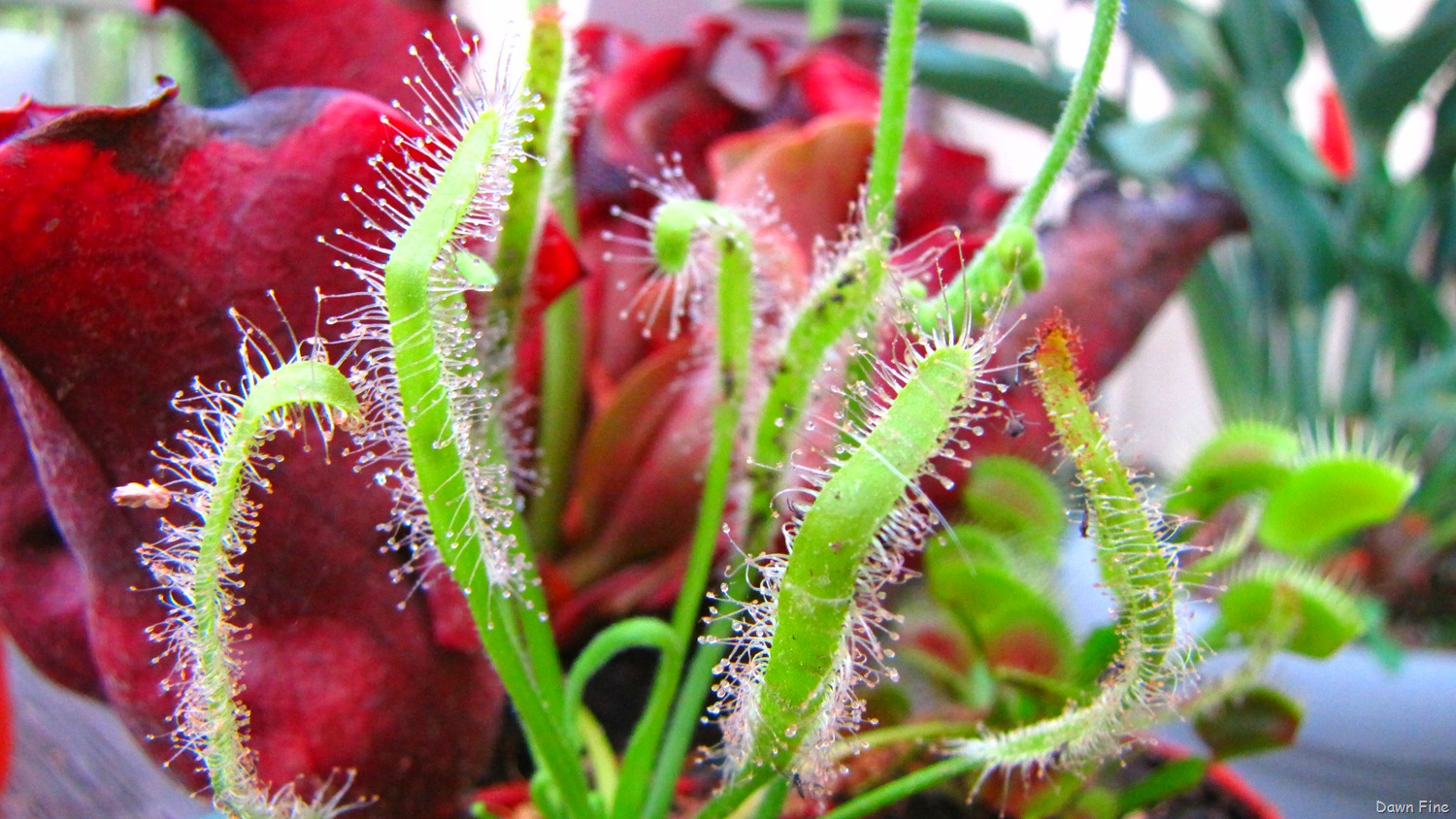 [Around sickstas_017 (2)[4].jpg]