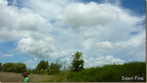 Clouds near Cassins Sp_003