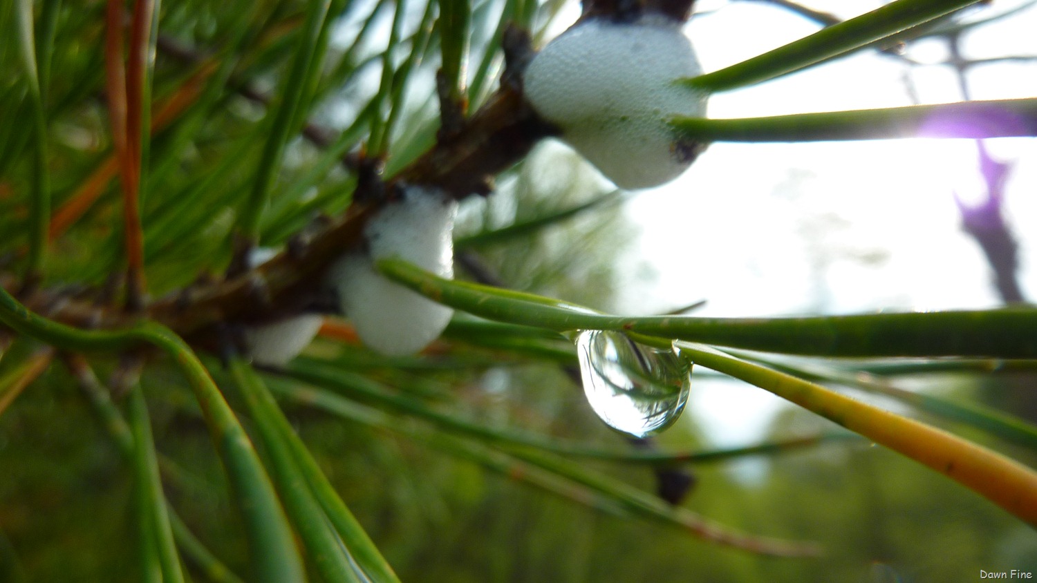 [new-river-day-1_015-13.jpg]