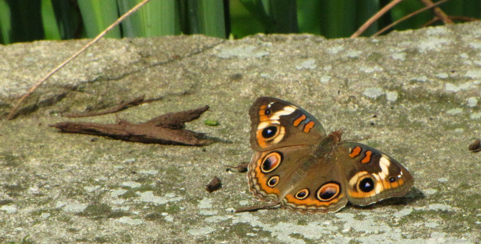 [New-River-Day-1_0186.jpg]