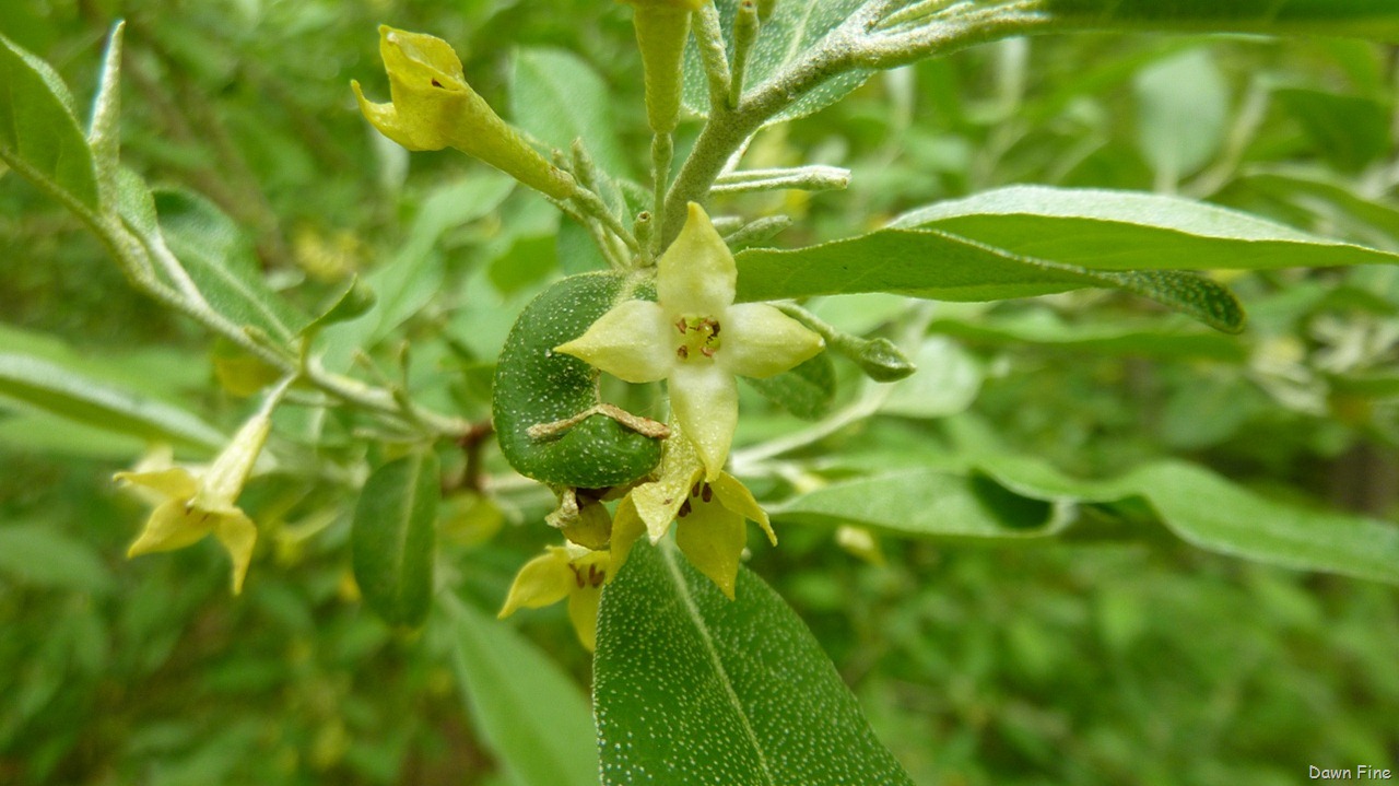 [new-river-day-1_0751[1].jpg]