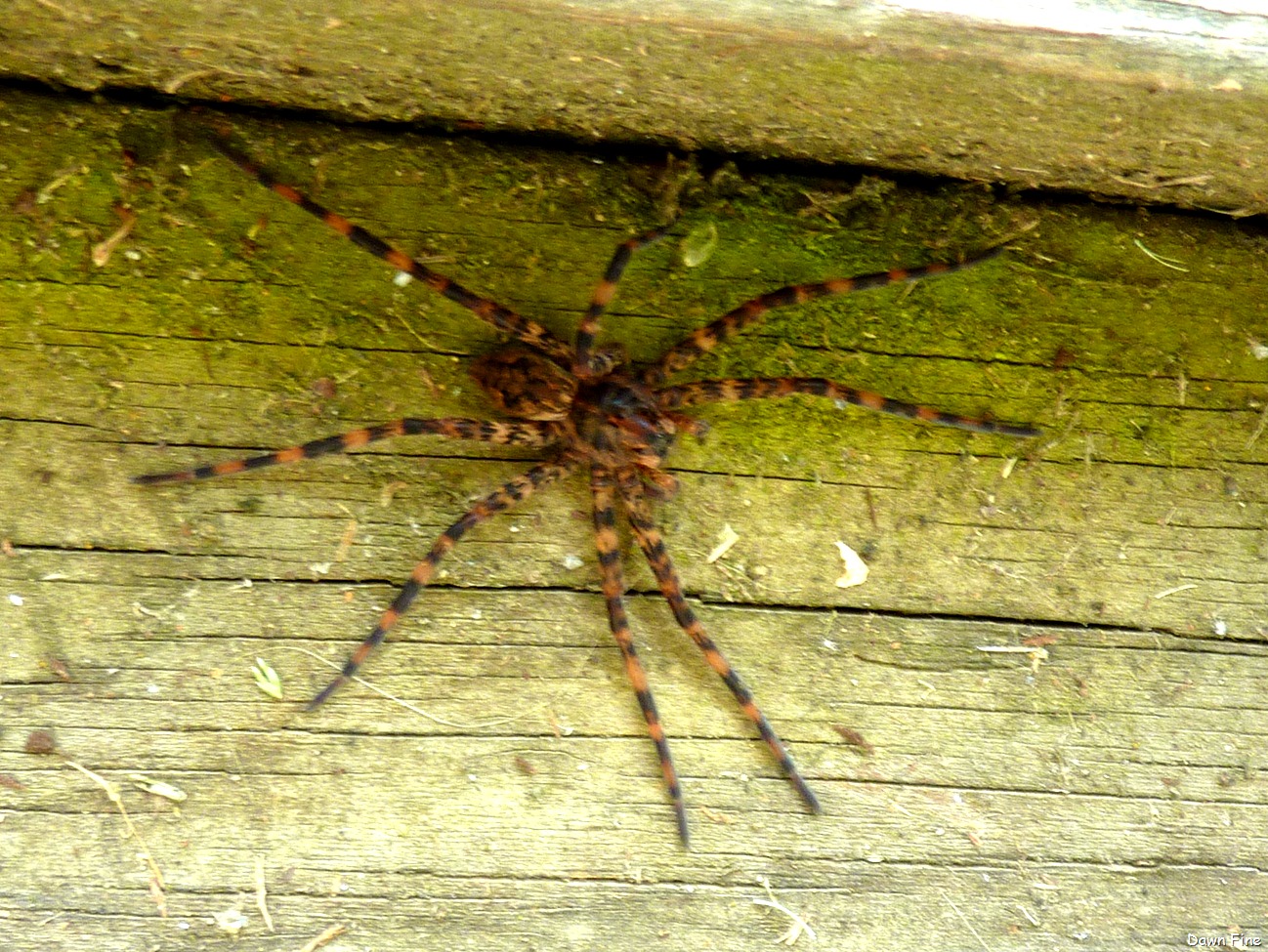 [new-river-day-1_13718.jpg]