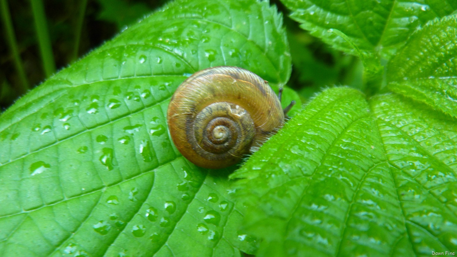 [New-River-day-2_0373.jpg]