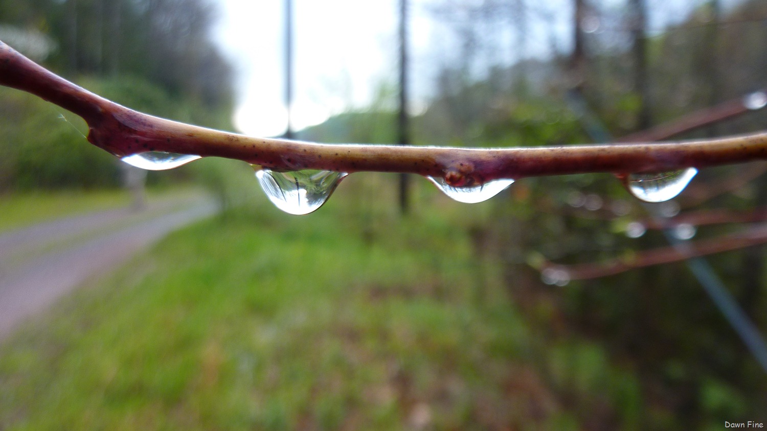 [new-river-day-3_0123.jpg]