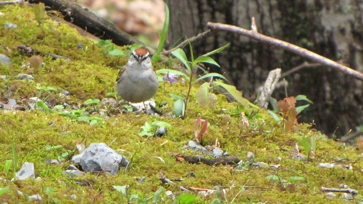 [new-river-day-3_0175.jpg]