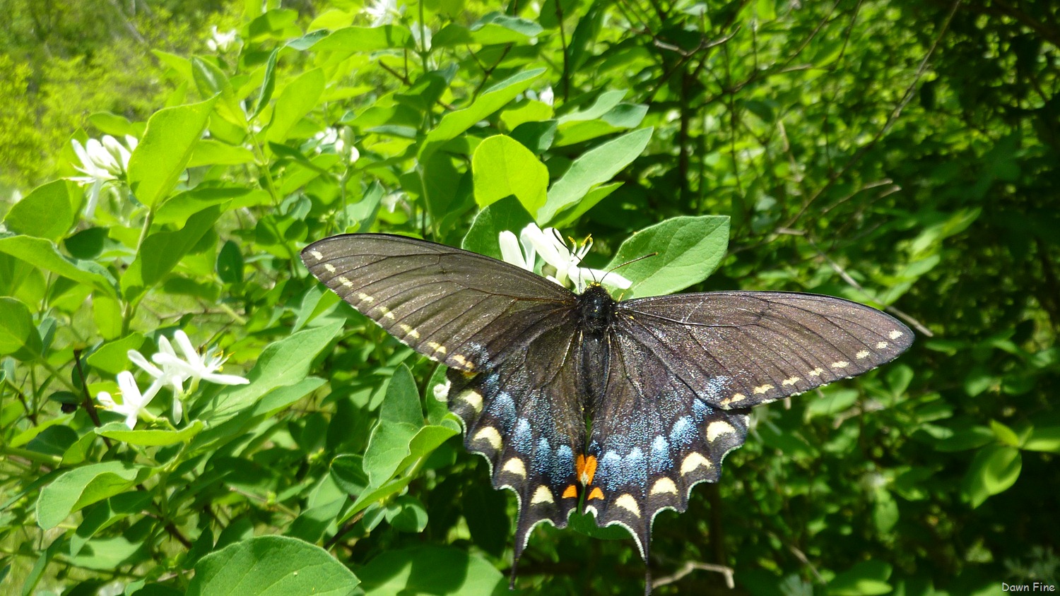 [New-River-Day-4_0323.jpg]