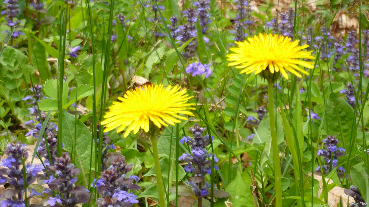 [New-River-day-5_027.jpg]