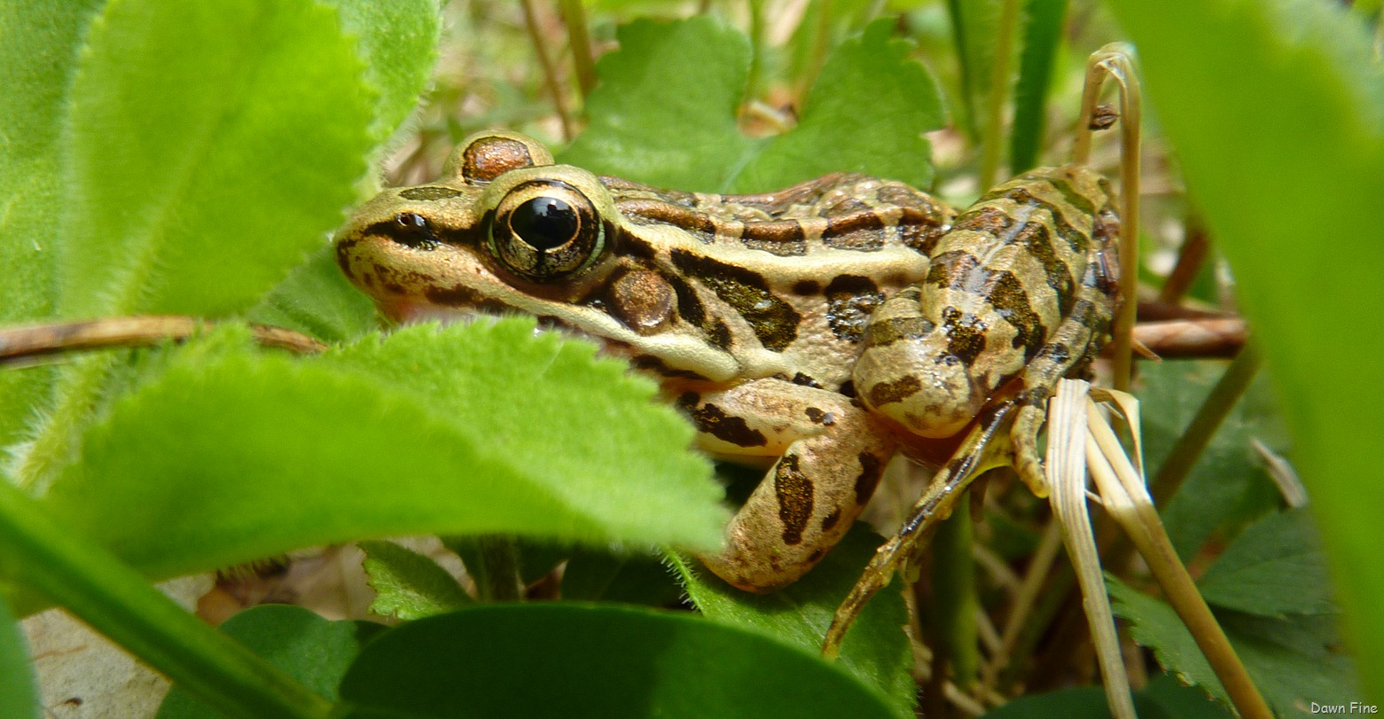 [New-River-day-5_025.jpg]