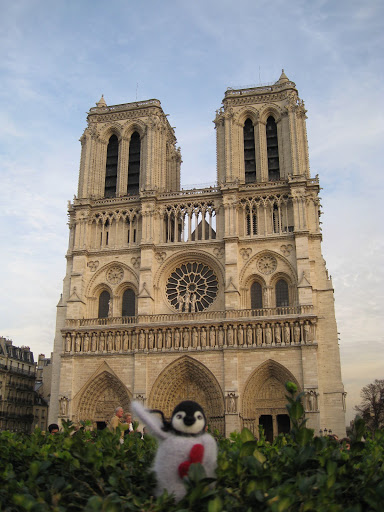 Bonjour, Notre Dame!