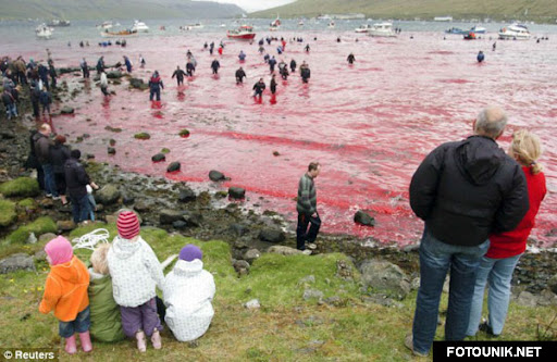 Perayaan paling Brutal & Berdarah di Dunia http://fotounik.net
