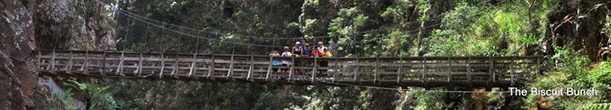Bridge2