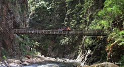 Bridge