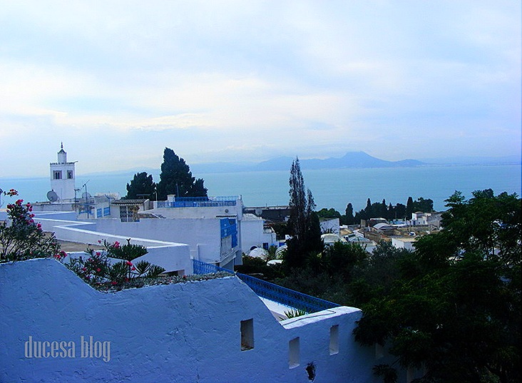 TUNISIA 2009 129 TUNISIA 2009 129